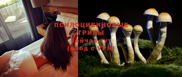 дмт Горнозаводск