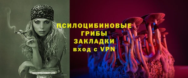 дмт Горнозаводск