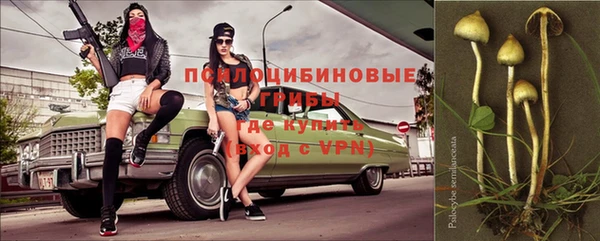 дмт Горнозаводск