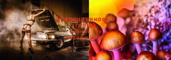 дмт Горнозаводск
