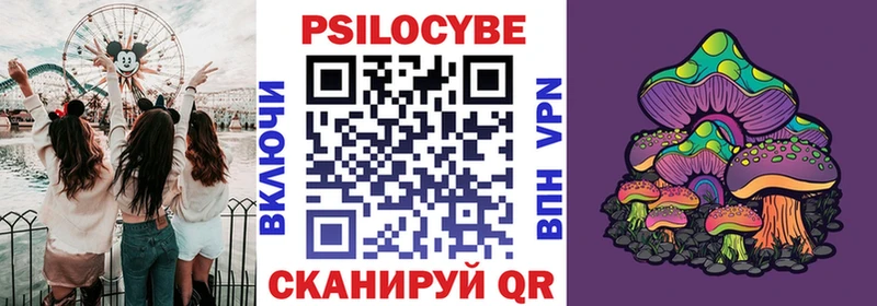 гидра вход  купить наркоту  Кемерово  Галлюциногенные грибы прущие грибы 